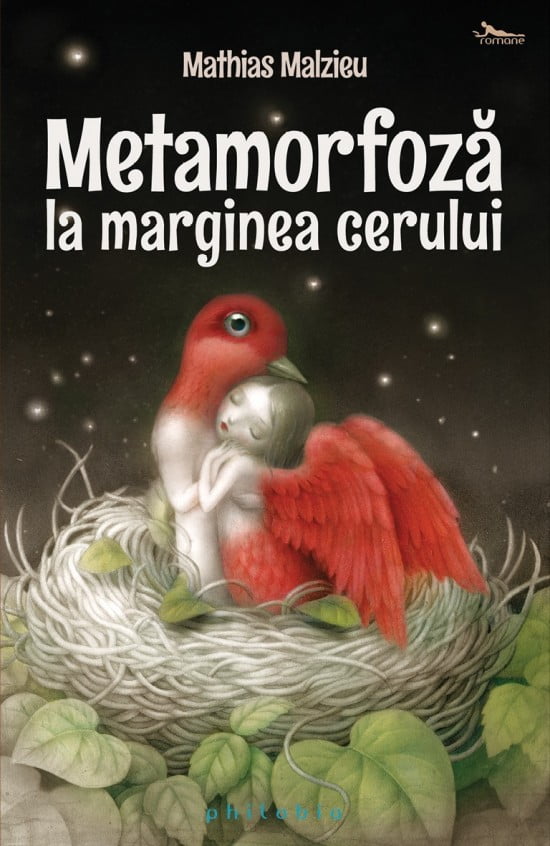 carte pret redus Metamorfoza la marginea cerului - libraria Piatadecarte.net