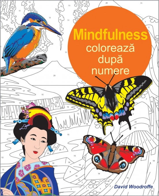 Mindfulness. Coloreaza dupa numere