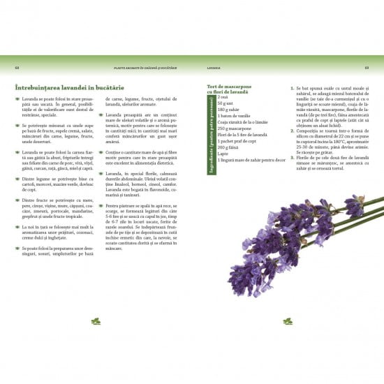 Plante aromate in gradina si bucatarie (ed. tiparita)