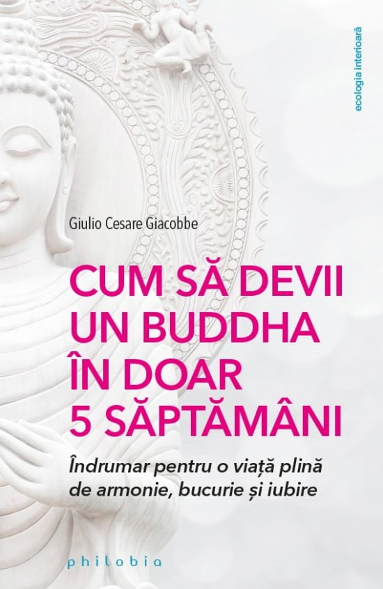 Cum sa devii un Buddha in doar 5 saptamani
