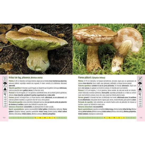 Ghidul culegatorului de ciuperci - 555 specii, cu fotografii