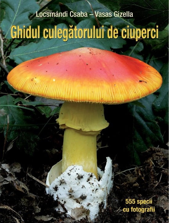 Ghidul culegatorului de ciuperci - 555 specii, cu fotografii