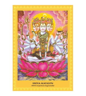 Set postere Shiva