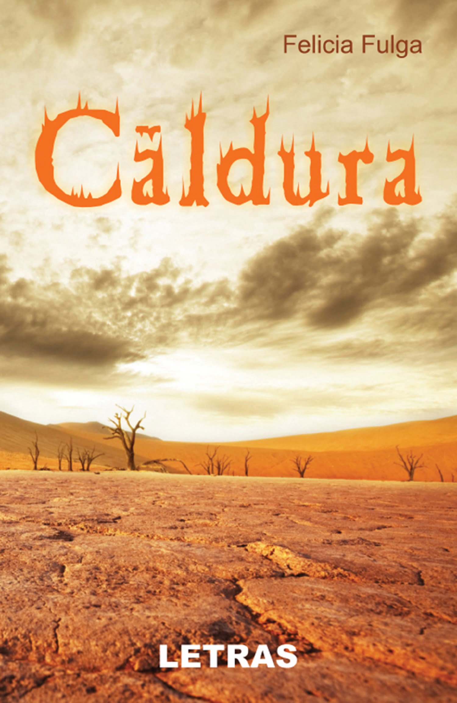 Caldura - Felicia E. Fulga - Editura Letras