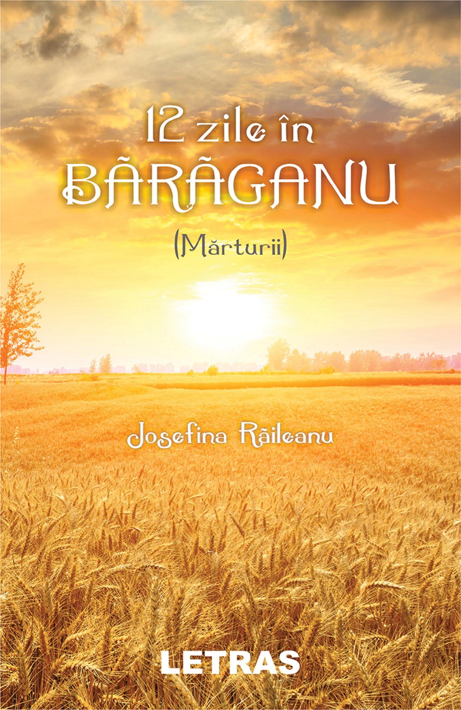 12 zile in Baraganu