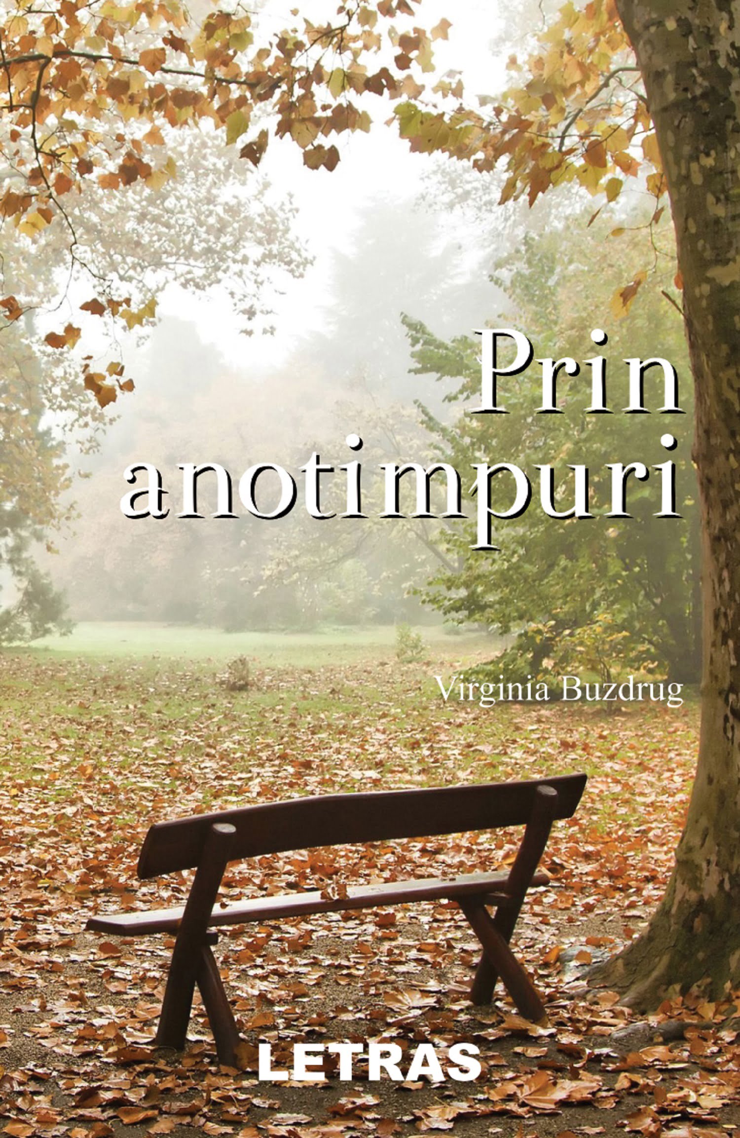 Prin anotimpuri - Virginia Buzdrug - Editura Letras