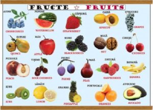 Plansa Legume/Fructe