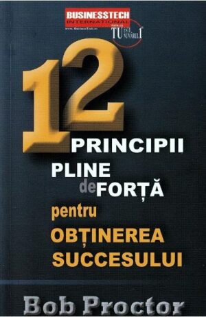 12 principii pline de forta pentru obtinerea succesului